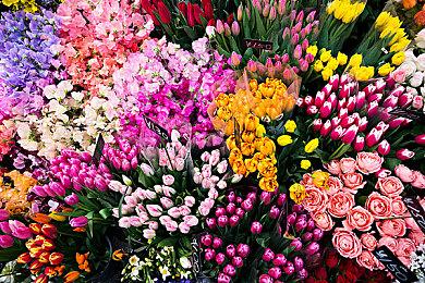 美国十月游戏销量榜 《漫威蜘蛛侠2》登顶