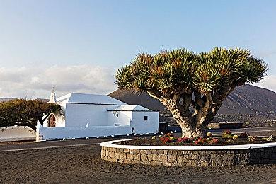 动作角色扮演游戏《喵咪斗恶龙3》 开场动画公布